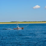 dsc_2905