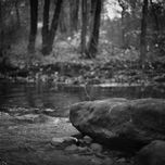 dsc_1575-2